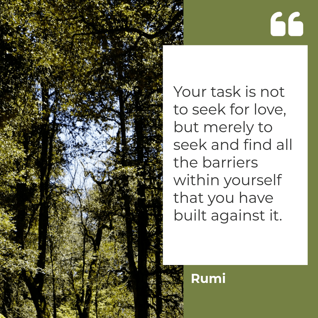 Attract your Soulmate
